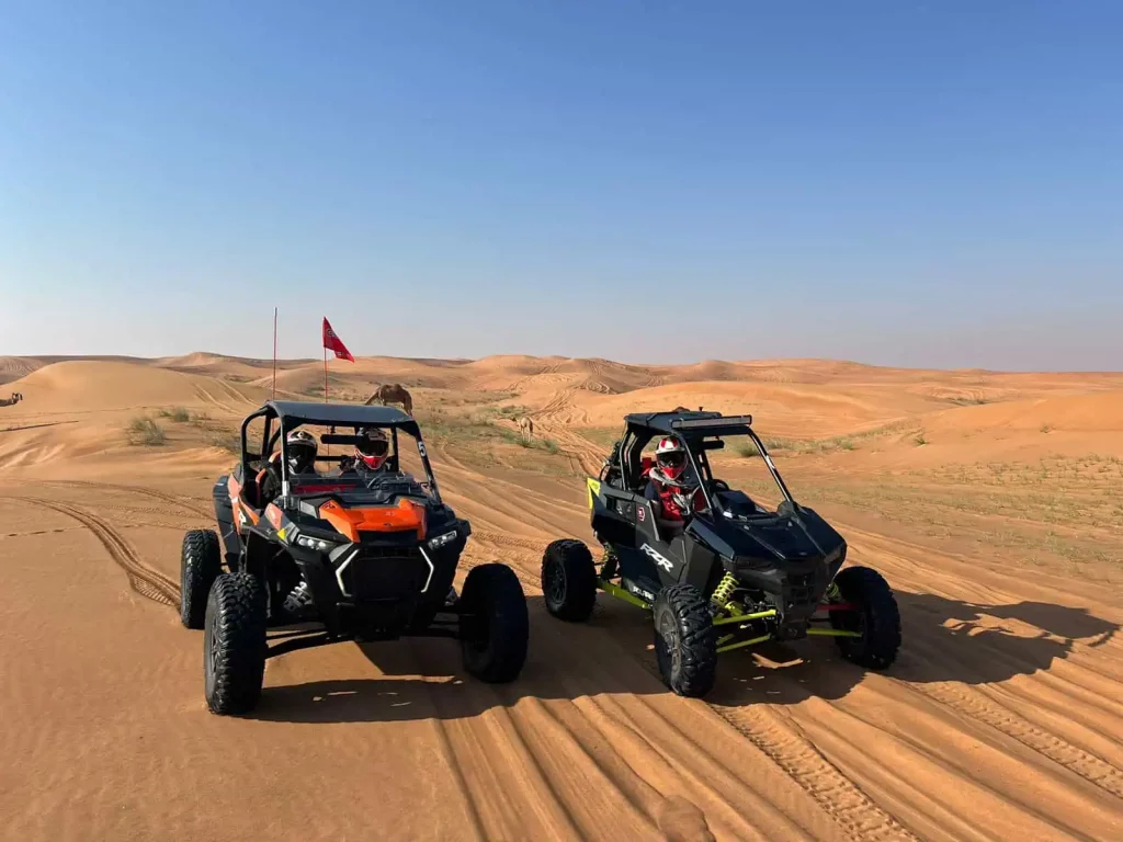 Drive a Dune Buggy